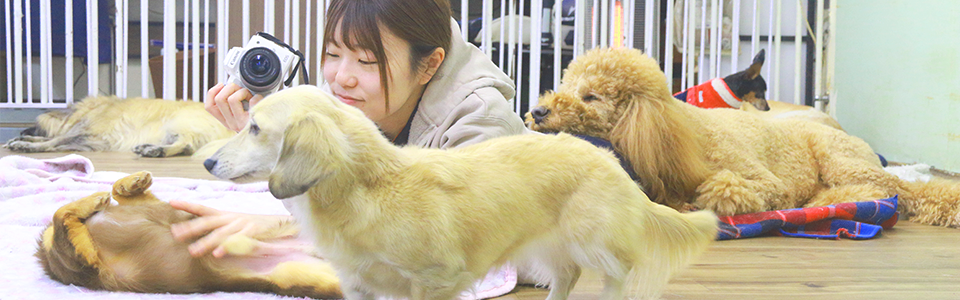 ペットホテルメイン写真