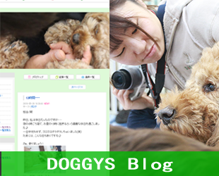 ブログアイコン