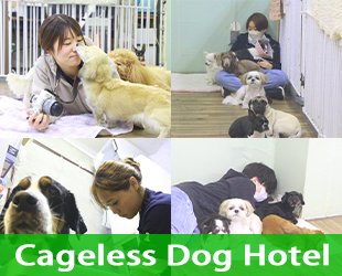 ホテルアイコン